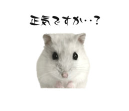 770954341