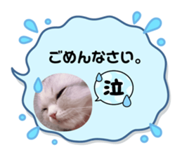 770954813
