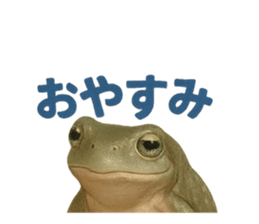 770963370