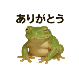 770963373