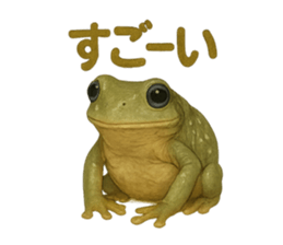 770963398
