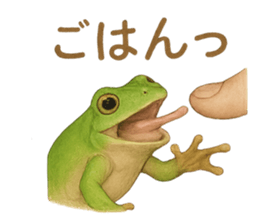 770963407