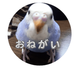 770989438