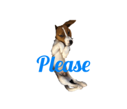 770990911