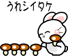 770999955