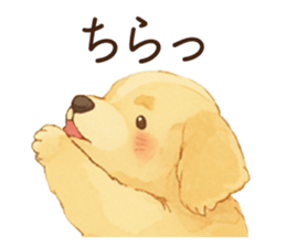 771001934