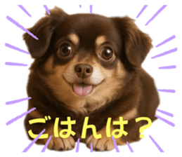 771003994