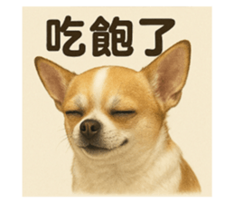 771004075