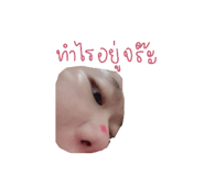 771029549