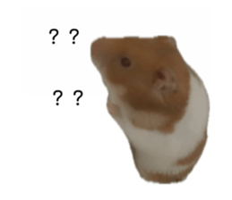 771029980