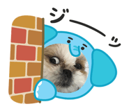 771046961