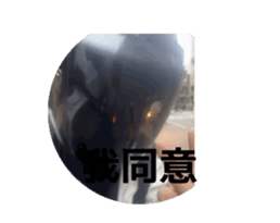 771059339