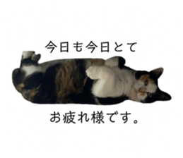 771061890