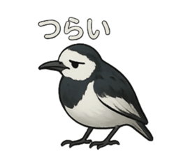771068920