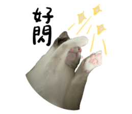 771109128