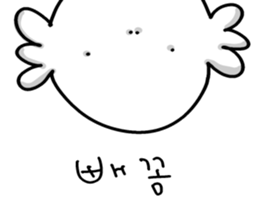 771109981