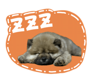 771111411