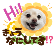 771112121