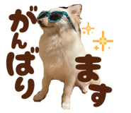 771112128