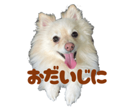 771112141