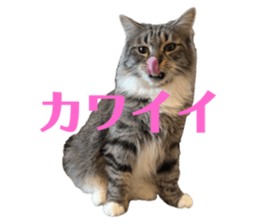 771113220