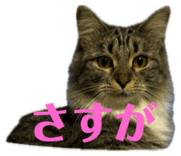 771113227