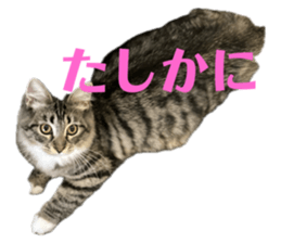 771113230