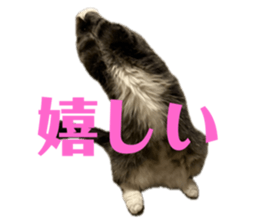 771113236