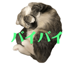 771113240