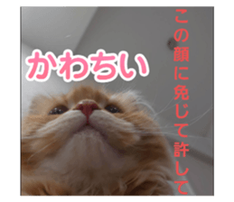 771113869