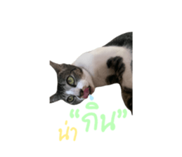 771135552