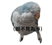 771136609