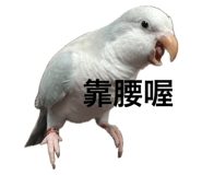 771136611