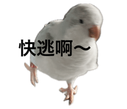 771136614