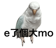 771136618
