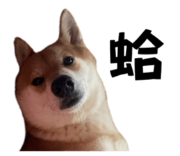 771137969