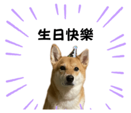 771137986