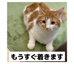 771143375