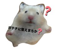 771144898
