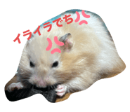 771144900