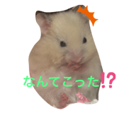771144906