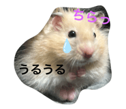 771144914