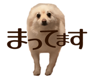 771148246