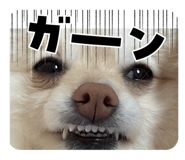 771148247