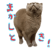 771153902