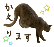 771153903