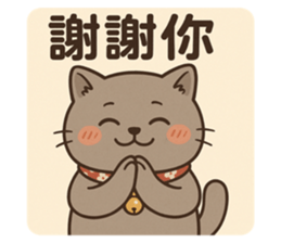 771166155
