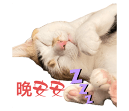 771166399