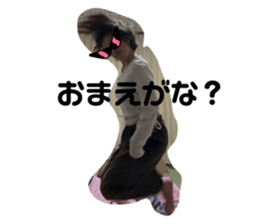 771169724