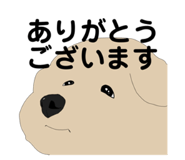 771170145